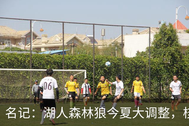 名记：湖人森林狼今夏大调整，核心目的都是讨好当家球星