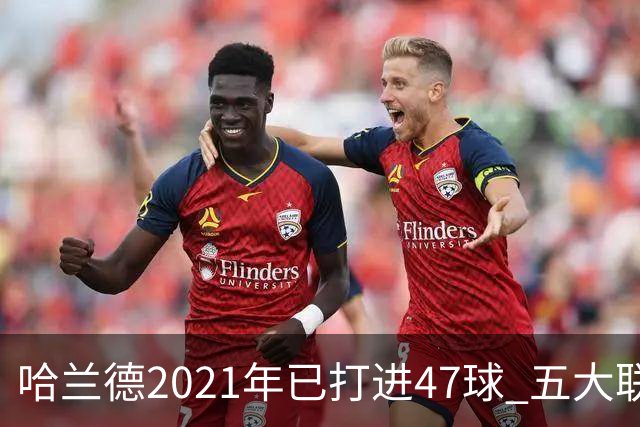 哈兰德2021年已打进47球 五大联赛球员里并列第二