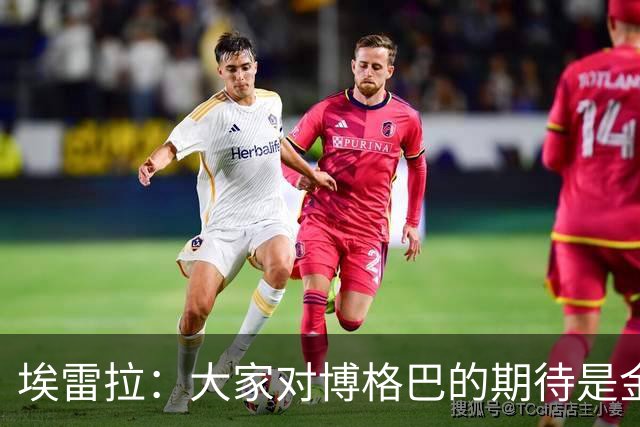 埃雷拉：大家对博格巴的期待是金球级别，我也不懂为何没达到