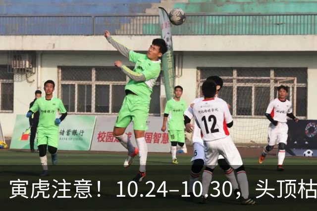 寅虎注意！10.24–10.30，头顶枯藤将断，有贵人伸手拉你一把