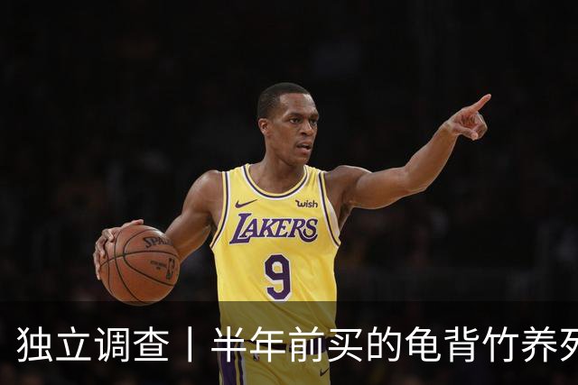 独立调查丨半年前买的龟背竹养死了，也要“仅退款”：商家拒绝后被投诉到闭店，还被告上法庭