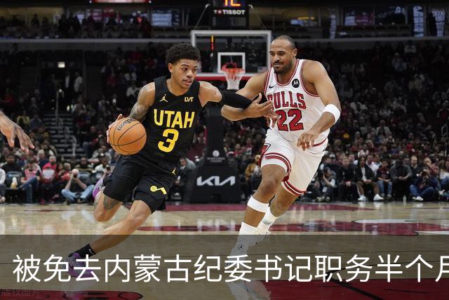 被免去内蒙古纪委书记职务半个月后，刘爽有了新消息