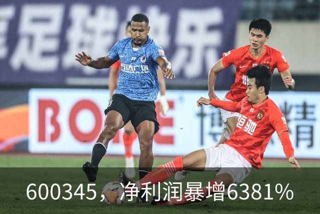 600345，净利润暴增6381%