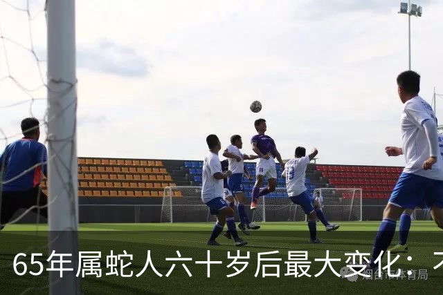 65年属蛇人六十岁后最大变化：不是享清福而是终于学会“往回活”